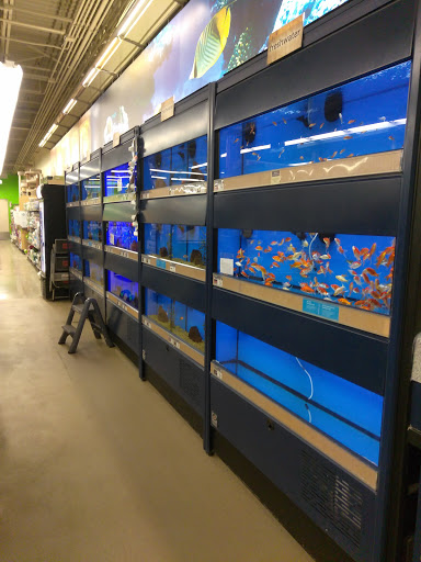 Pet Supply Store «Petco Animal Supplies», reviews and photos, 10055 Wellington Rd, Manassas, VA 20110, USA