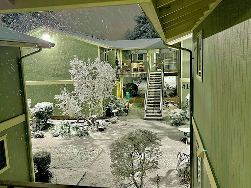 Office Supply Store «Staples», reviews and photos, 2000 Santiam Hwy SE, Albany, OR 97322, USA