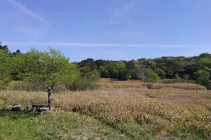 Kanbayashi Forest Park image