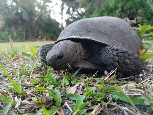 Park «Boca Ciega Millennium Park», reviews and photos, 12410 74th Ave N, Seminole, FL 33772, USA
