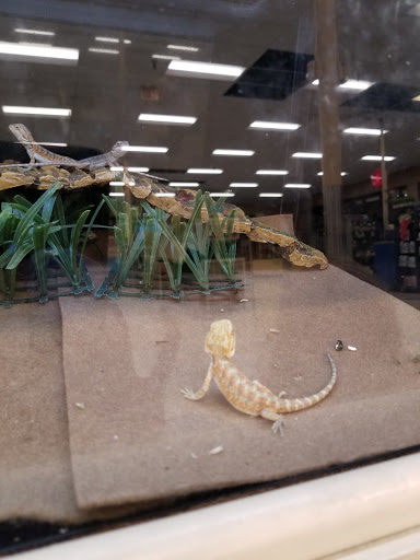 Pet Supply Store «PetSmart», reviews and photos, 6251 N Davis Hwy, Pensacola, FL 32504, USA