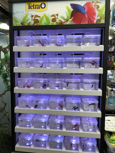 Pet Store «El Granero Pet Shop», reviews and photos, 15700 Atlantic Ave, Compton, CA 90221, USA