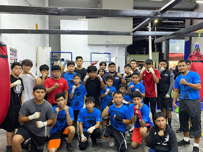 Ibarra Boxing Promotions - Carr a huinala, Av. Gaspar Castaño 706A, Rincón de San Miguel, 66648 Cd Apodaca, N.L., Mexico