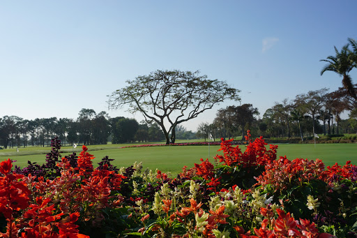 Golf Club «Royal Poinciana Golf Club», reviews and photos, 1600 Solana Rd, Naples, FL 34105, USA