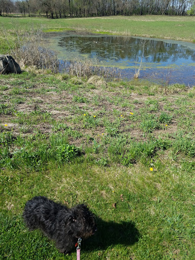 Nature Preserve «Forest Preserve District of Will County», reviews and photos, 17540 W Laraway Rd, Joliet, IL 60433, USA