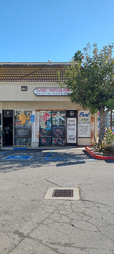 Sunset Pet & Supplies, 1373 Sunset Blvd, Los Angeles, CA 90026, USA, 