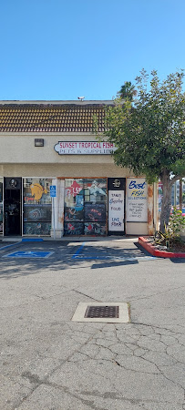 Sunset Pet & Supplies - Photo 2 - Car repair in Los Angeles, CA, Los Angeles