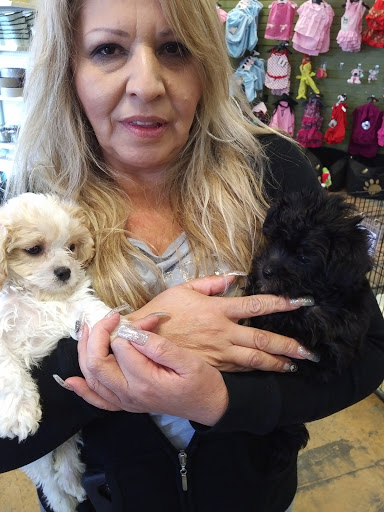 Pet Supply Store «Pet Ranch», reviews and photos, 3823 E 120th Ave, Denver, CO 80233, USA