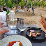 Photo n°7 de l'avis de And.r fait le 14/07/2022 à 20:01 sur le  Tenute Poggio di Bobi à Lamporecchio