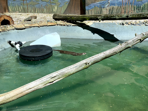 Zoo «Cape May County Park & Zoo», reviews and photos, 707 U.S. 9, Cape May Court House, NJ 08210, USA