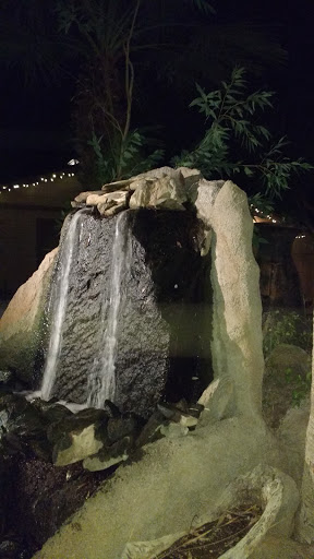 Wedding Venue «Boojum Tree», reviews and photos, 16026 N 36th St, Phoenix, AZ 85032, USA