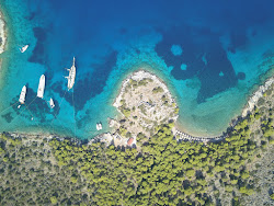 Bisti Beach'in fotoğrafı çok temiz temizlik seviyesi ile