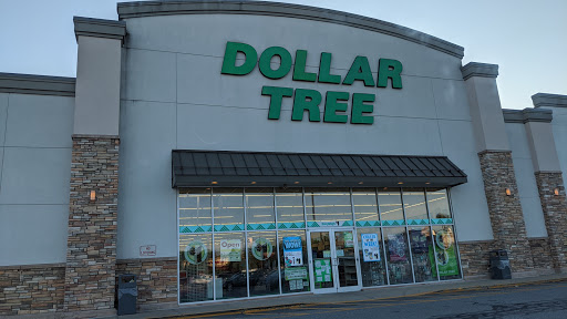 Dollar Store «Dollar Tree», reviews and photos, 231 Main St, Wilmington, MA 01887, USA