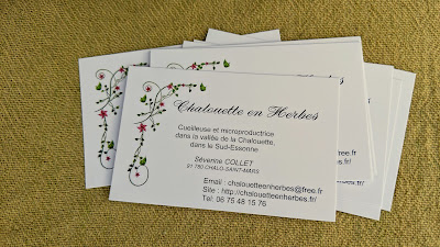 Chalouette en herbes à Chalo-Saint-Mars