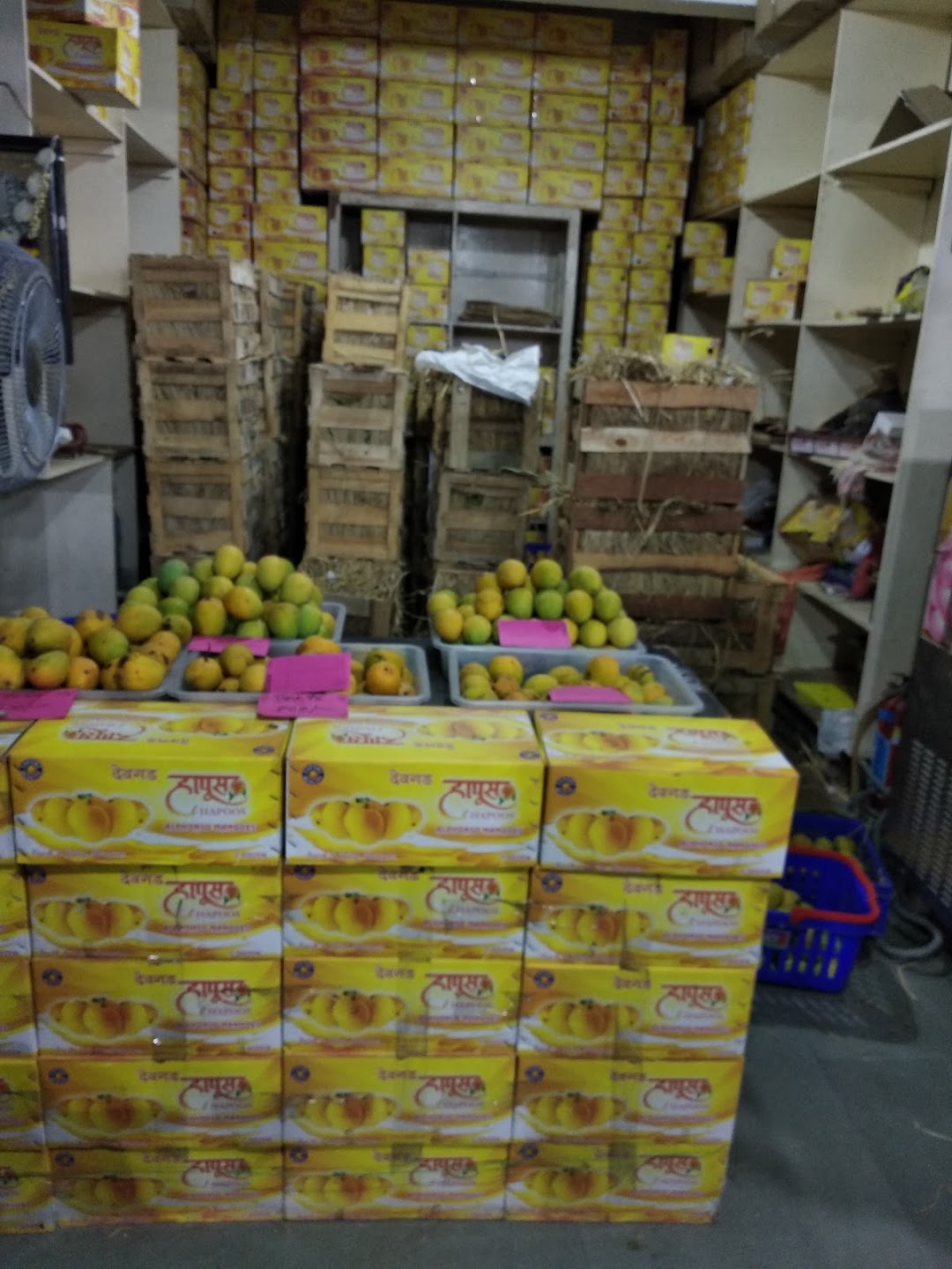 Hapus Mango