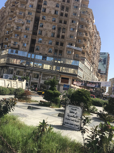 Smouha International Hospital 