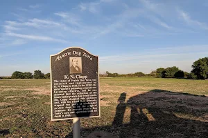 Prairie Dog Town image