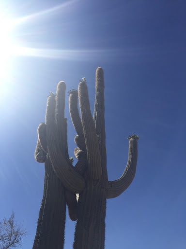 Golf Club «We-Ko-Pa Golf Club», reviews and photos, 18200 E Toh Vee Cir, Fort McDowell, AZ 85264, USA