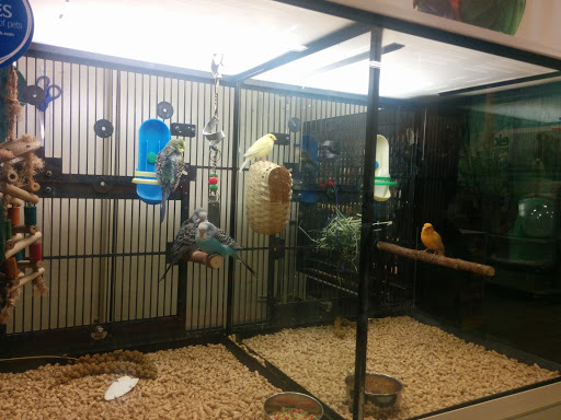Pet Supply Store «PetSmart», reviews and photos, 11501 Metcalf Ave, Overland Park, KS 66210, USA