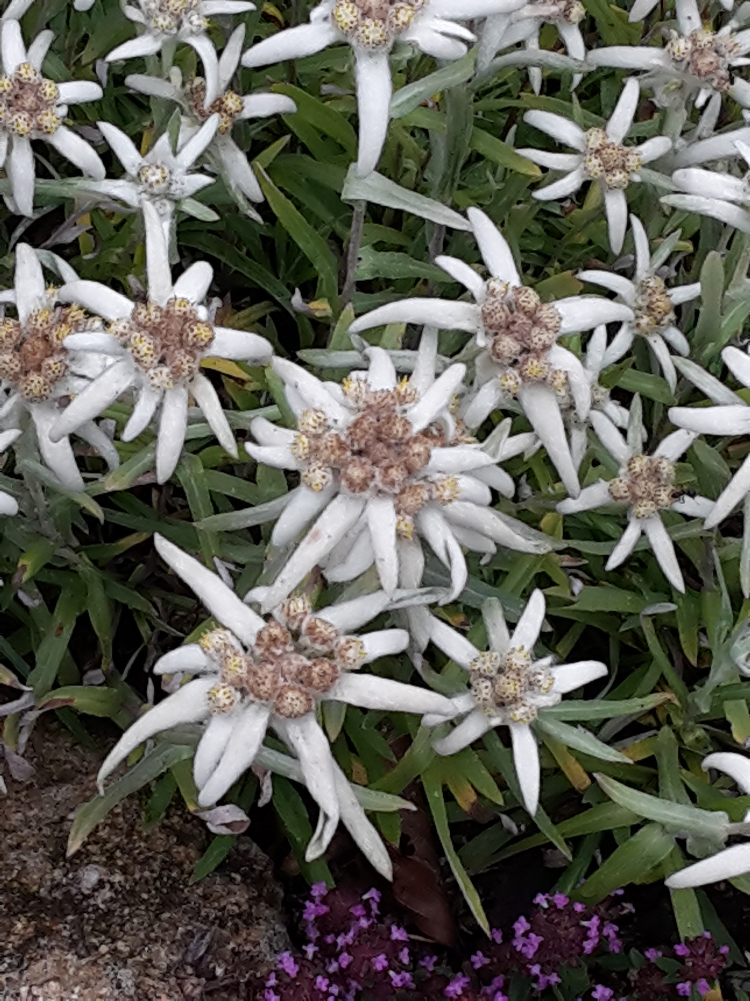 Photo n° 5 de l'avis de Isabelle.e fait le 18/07/2018 à 18:50