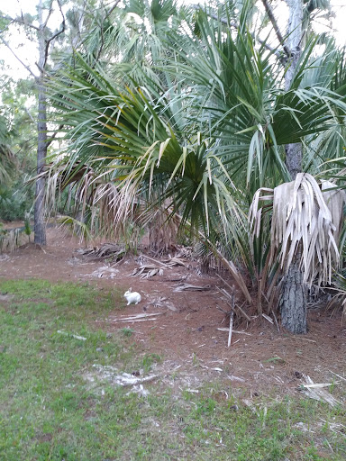 Park «Sabal Pines Park», reviews and photos, 5005 NW 39th Ave, Coconut Creek, FL 33073, USA