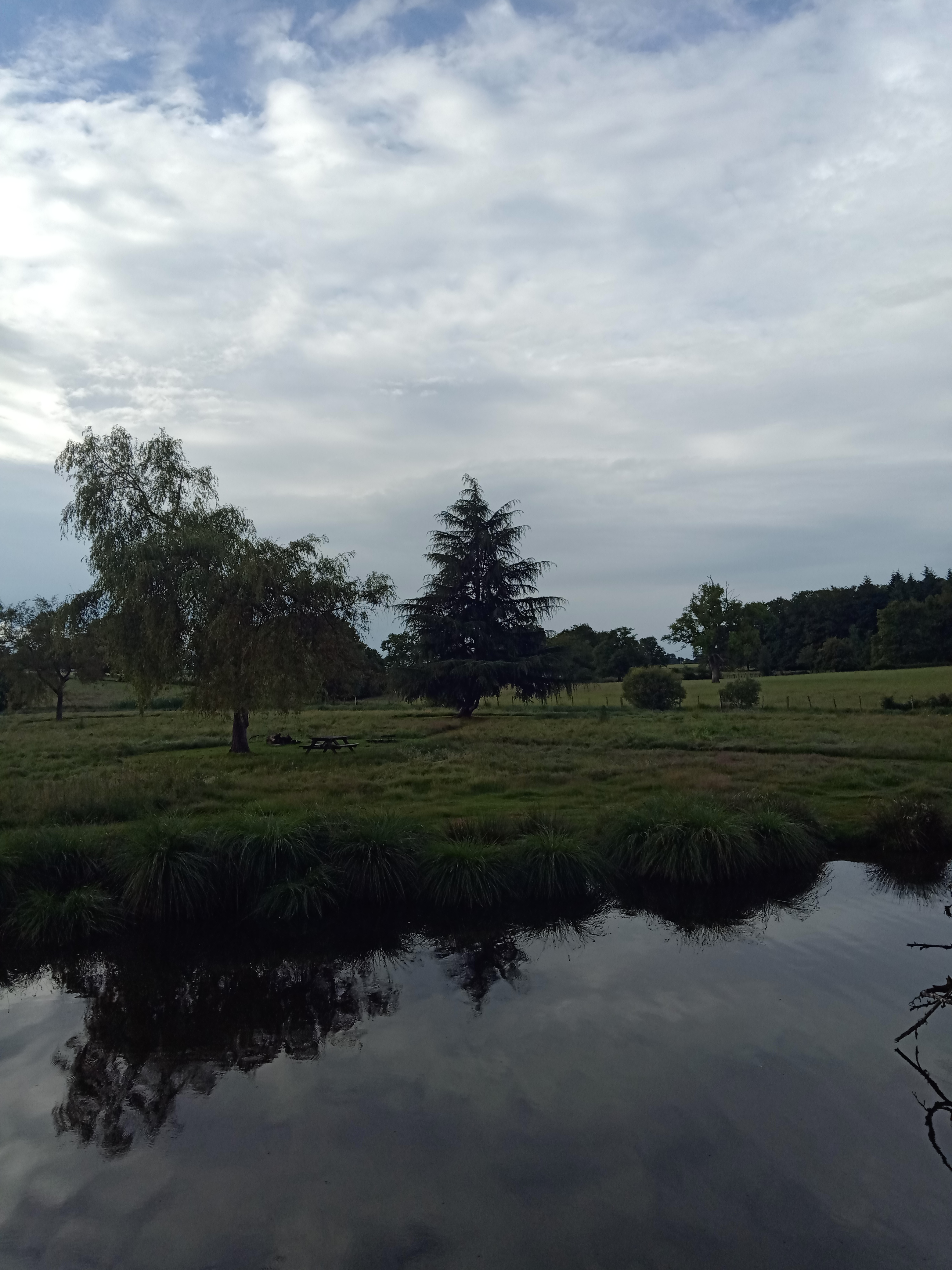 Photo n° 8 de l'avis de Route.a fait le 10/07/2021 à 19:50