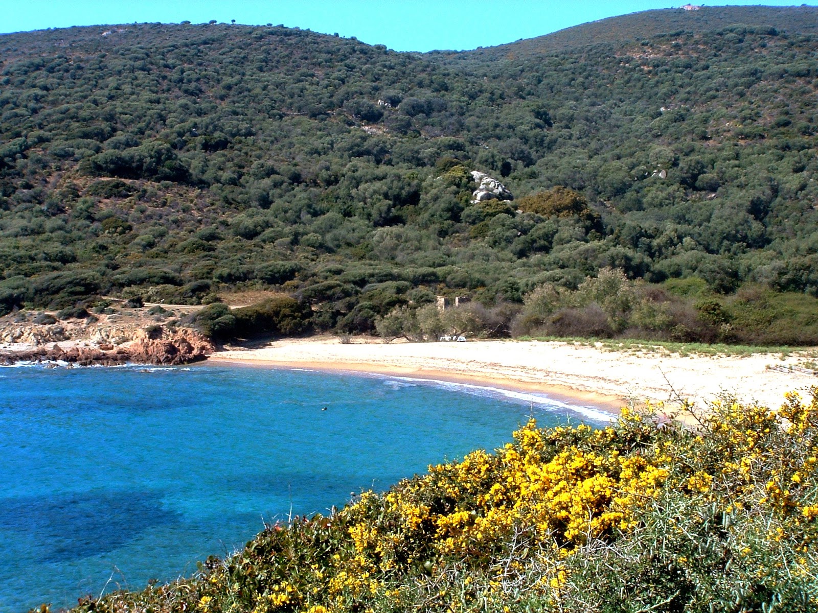 Foto de Cala Di Fico con arena beige superficie