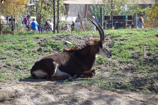 Foundation «The Henry Doorly Zoo», reviews and photos, 3701 S 10th St, Omaha, NE 68107, USA
