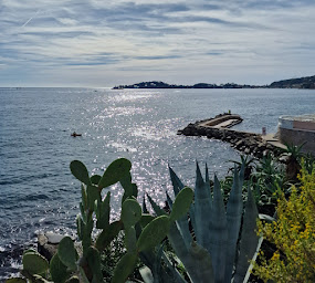 Photo n°17 de La Réserve de Beaulieu à Beaulieu-sur-Mer ()