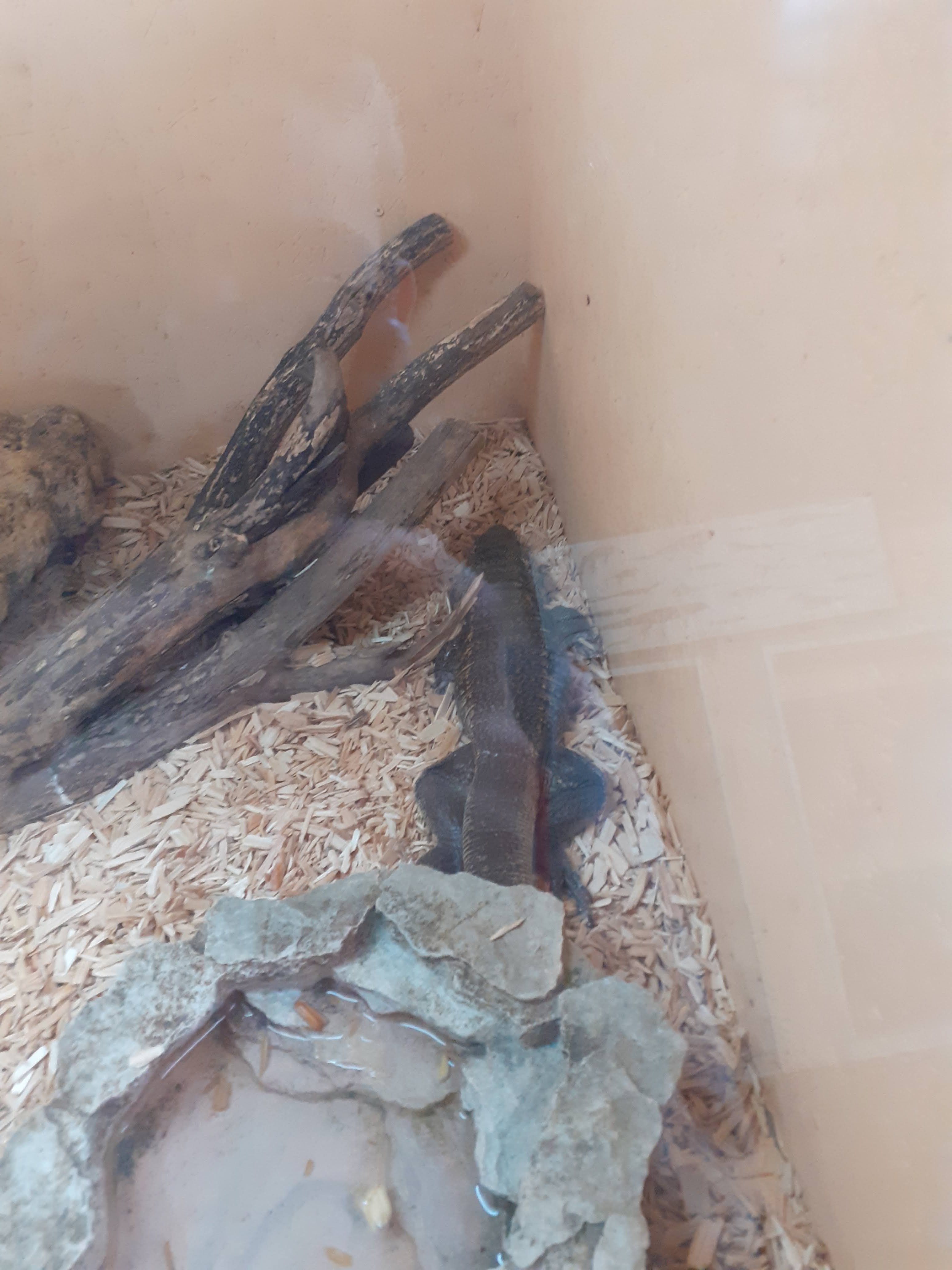 Photo n° 18 de l'avis de valjeux. fait le 26/07/2022 à 11:30