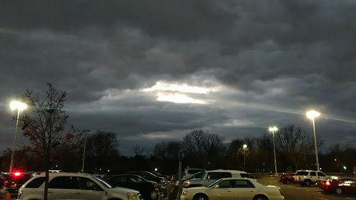 Grocery Store «Stop & Shop», reviews and photos, 240 E Sandford Blvd, Mt Vernon, NY 10550, USA