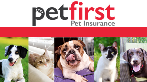 Insurance Broker «PetFirst Pet Insurance», reviews and photos