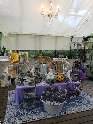 Farm «Blooming Hill Lavender Farm», reviews and photos, 19929 Telegraph Springs Rd, Purcellville, VA 20132, USA