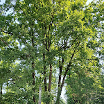 Photo n°6 de l'avis de Henry.c fait le 09/07/2023 à 16:20 sur le  B&O Parkhotel à Bad Aibling