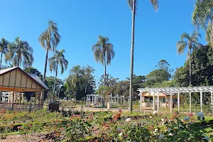 Queensland State Rose Garden image