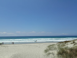 Photo de Forestry Beach situé dans une zone naturelle