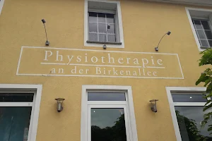 Physiotherapy and Medi-Fitness at Birkenallee image