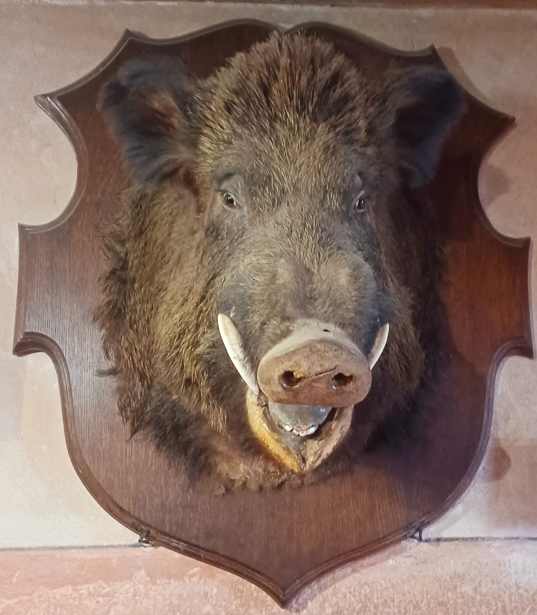 Photo n° 16 de l'avis de Matthias.e fait le 29/12/2023 à 22:04