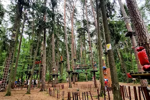 Forest Rope Park image