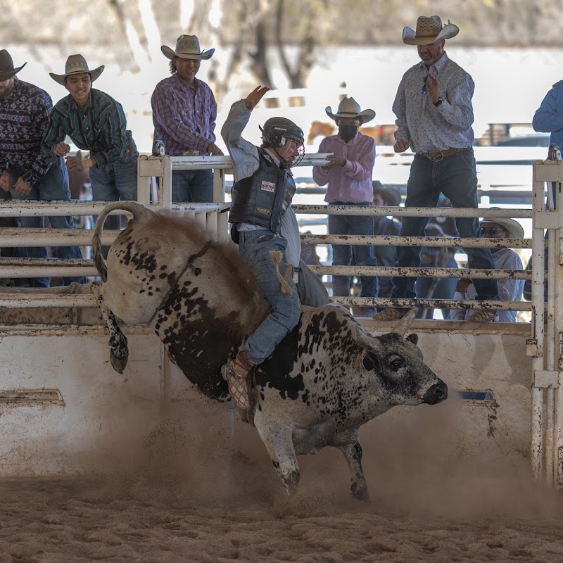 Bernalillo County Sheriffs Posse