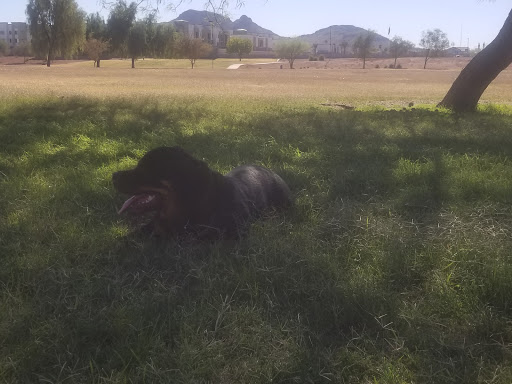 Park «Turtle Rock Park», reviews and photos, 17414 N 12th St, Phoenix, AZ 85022, USA