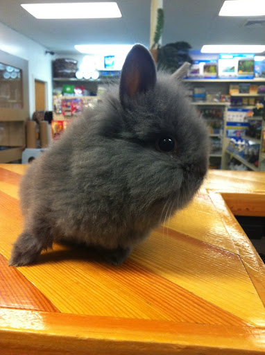 Pet Store «Pets World», reviews and photos, 147 Bridge St, Weymouth, MA 02191, USA