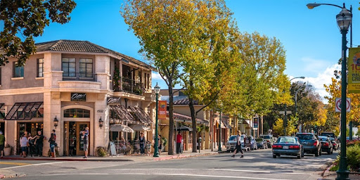 Bay Area Business Brokers - Antoinette Gonzales Norris image