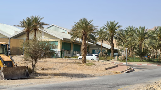 Ein Gedi beach water