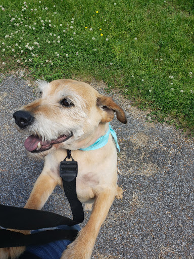 Pet Supply Store «Petsense Murray», reviews and photos, 1550 Lowes Dr, Murray, KY 42071, USA