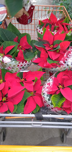 Home Improvement Store «The Home Depot», reviews and photos, 7001 Crestwood Blvd #1300, Birmingham, AL 35210, USA