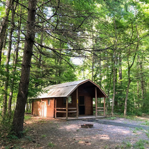 10 Amazing Camping Cabins in the US: Discover the Perfect Getaway