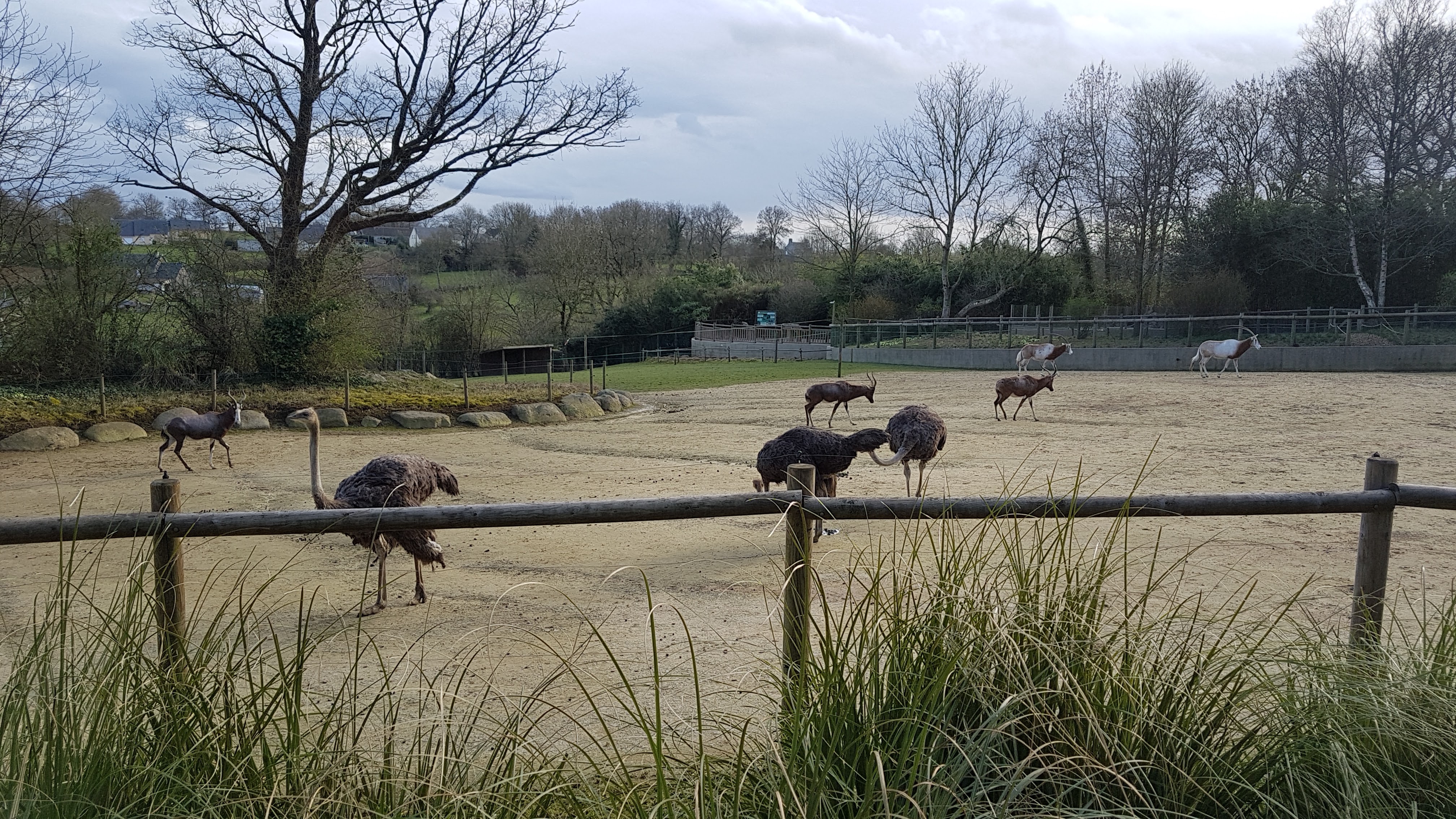 Photo n° 17 de l'avis de PA.A fait le 09/03/2019 à 12:19
