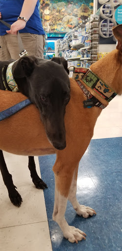 Pet Supply Store «Petco Animal Supplies», reviews and photos, 2277 Ford Pkwy, St Paul, MN 55116, USA