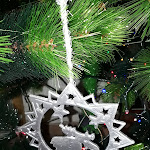 Photo n°34 de l'avis de p.b fait le 18/08/2017 à 17:38 sur le  Martin's House à Marina di Cerveteri